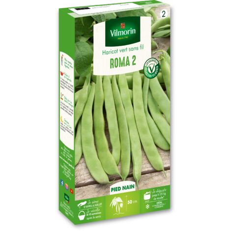Haricot nain vert plat Roma – Gousses plates vert clair – Semis de mars à juin – Récolte facile et savoureuse – Vilmorin