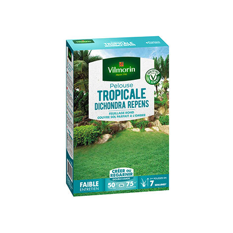 Pelouse tropicale dichondra repens 500 g – Gazon ornemental pour zones ombragées – Taux de germination supérieur de 10% – Pureté spécifique 10x – Vilmorin