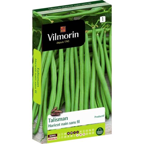 Graines de haricot vert sans fil Talisman – Longues gousses fines 18 cm – Résistantes aux maladies – Pour sol léger et ensoleillé – Vilmorin