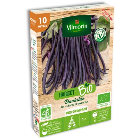 Haricot Blauhilde - BIO Vilmorin