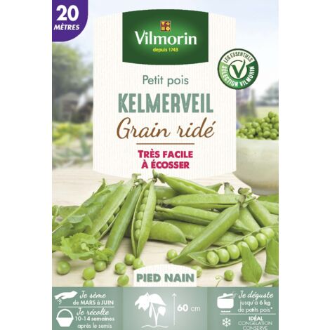 Pois Nain à Grain Ridé Kelmerveil - 20 m Vilmorin (1/2)