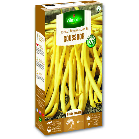 Haricot Nain Beurre Goussdor Vilmorin (1/3)