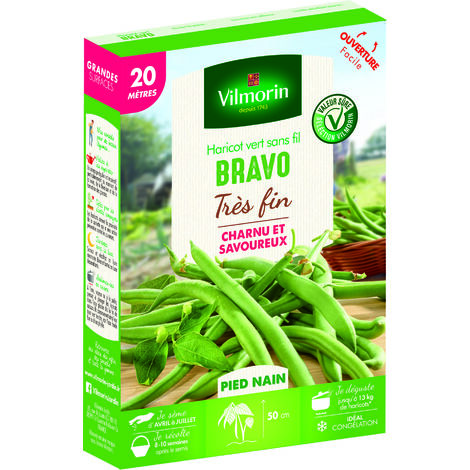 Haricot Nain Vert Bravo - 20 m Vilmorin (1/3)