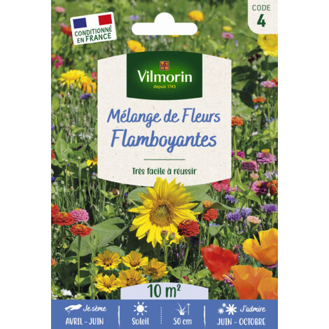 Mélange Pluriannuel "Fleurs Champêtres" 500m² (70 Var