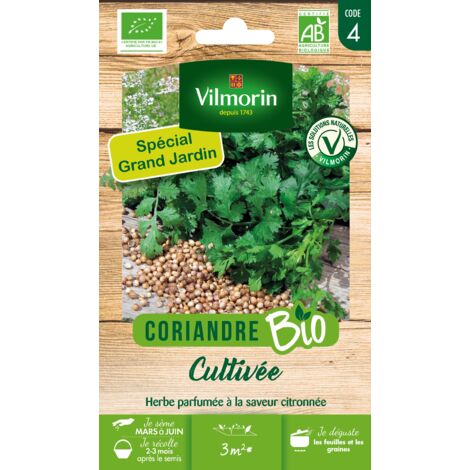 Coriandre Cultivée - BIO - Grand Modèle Vilmorin (1/2)
