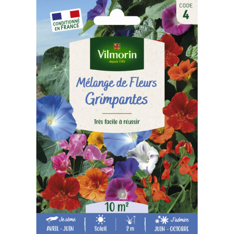 Fleurs Grimpantes - 10 m² - Mélange de fleurs Vilmorin (1/2)