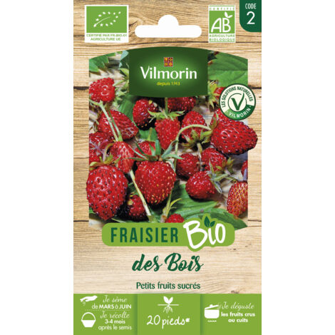 Fraisier des bois BIO – Semis de mars à juin – Récolte 3-4 mois après semis – Fruits rouges sucrés pour tartes et confitures – Vilmorin
