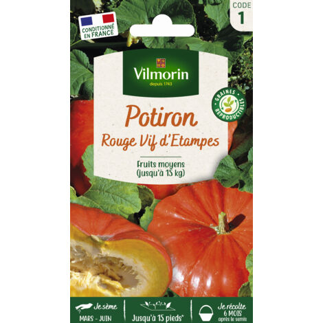 Potiron Rouge Vif d'Etampes Vilmorin (1/2)