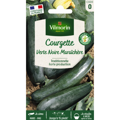 Graines de courgette verte noire maraîchère – Variété précoce non coureuse – Forte production – Période de semis : avril à juin – Vilmorin