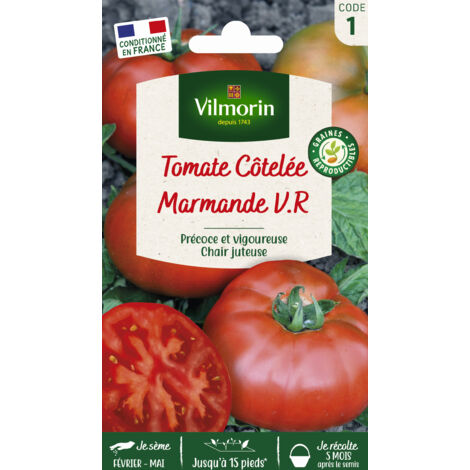 Vilmorin – Tomate Marmande VR – Graines de potager précoces – Chair parfumée et fruitée – Résistante au verticillium – Idéale pour farcis