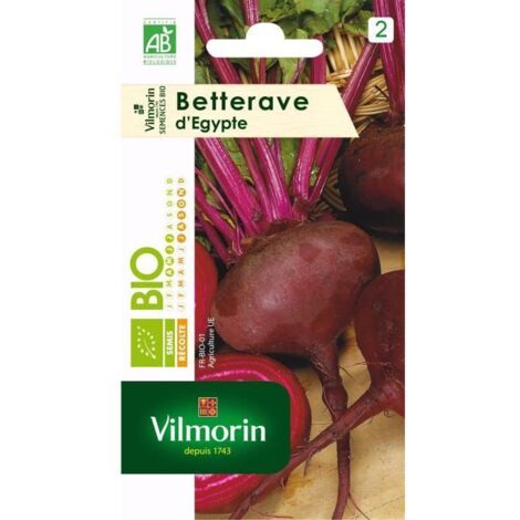 Betterave Potagère Noire Plate d'Egypte - BIO Vilmorin (1/4)
