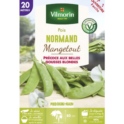 Pois Mangetout Normand - 20 m Vilmorin (1/2)