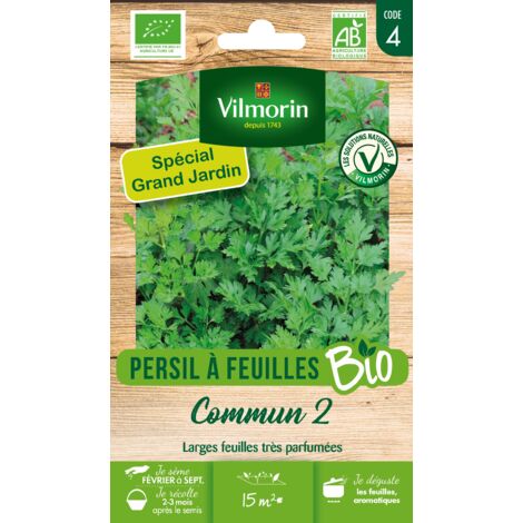Persil Commun 2 - BIO - Grand Modèle Vilmorin (1/2)