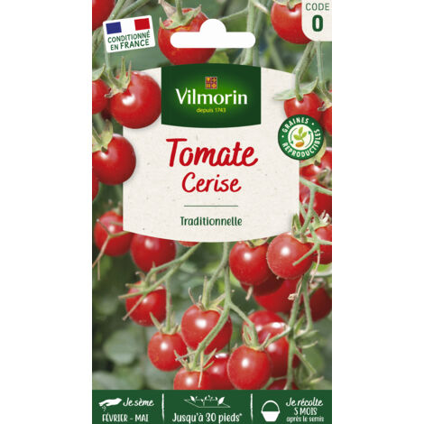 Tomate cerise – Graines de potager – Semis de mars à juin – Type indéterminé – Besoin de tuteurage – Vilmorin
