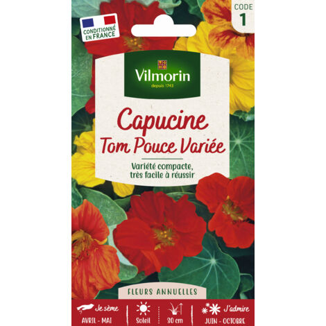 Capucine Tom Pouce en Mélange Vilmorin