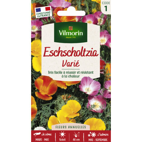 Eschscholtzia de Californie Varié Vilmorin
