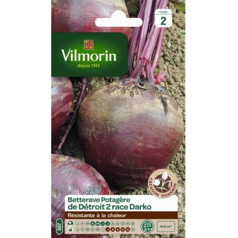 vilmorin sachet graines Betterave detroit darko