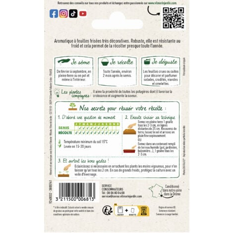 Persil Frisé Vert Foncé Vilmorin