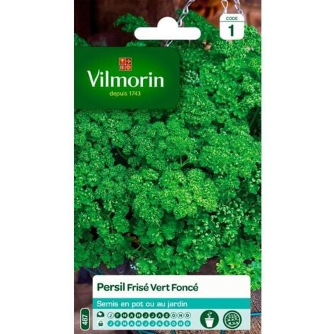 Persil Frisé Vert Foncé Vilmorin