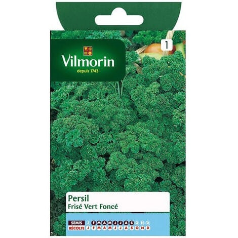 Persil Frisé Vert Foncé Vilmorin