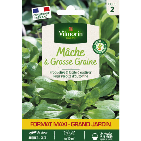 Mâche à Grosse Graine - Grand Modèle Vilmorin (1/2)