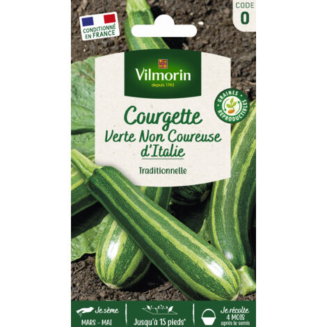 Graines de courgette verte non coureuse d'Italie – Fruits vert foncé striés – Bonne végétation pour tous terrains – Période de semis printemps/été – Vilmorin