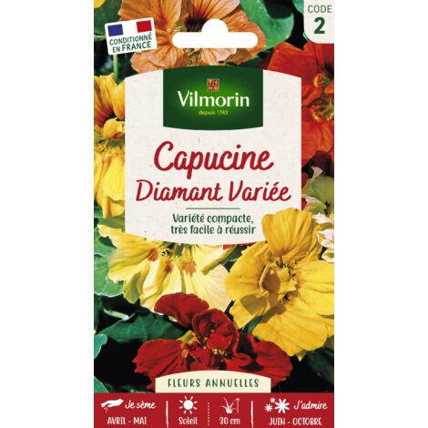 Capucine diamant variée Vilmorin (1/2)