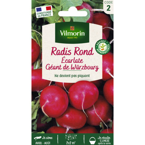 Radis Rond Ecarlate Géant de Würzbourg Vilmorin
