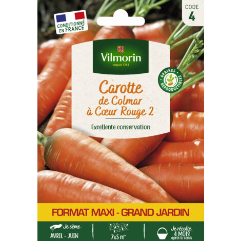 Carotte de Colmar à Cœur Rouge 2 - Grand Modèle Vilmorin (1/2)