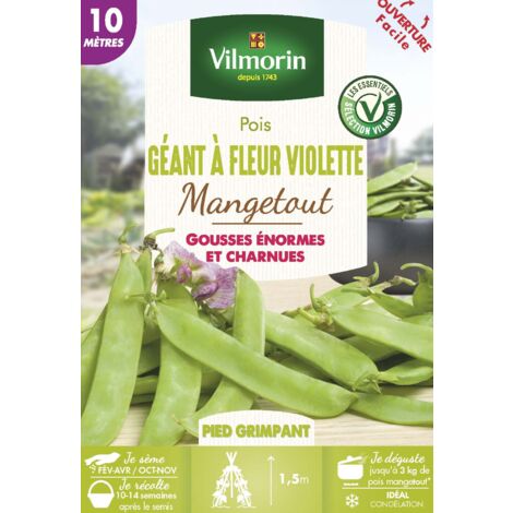 Pois Mangetout Géant à Fleur Violette - 10 m Vilmorin (1/2)