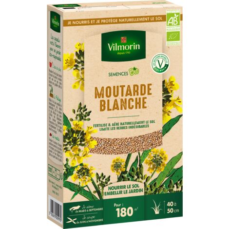 Engrais vert moutarde blanche BIO – Période de semis de mars à septembre – Limite les mauvaises herbes – Rendement 180 m² – Vilmorin