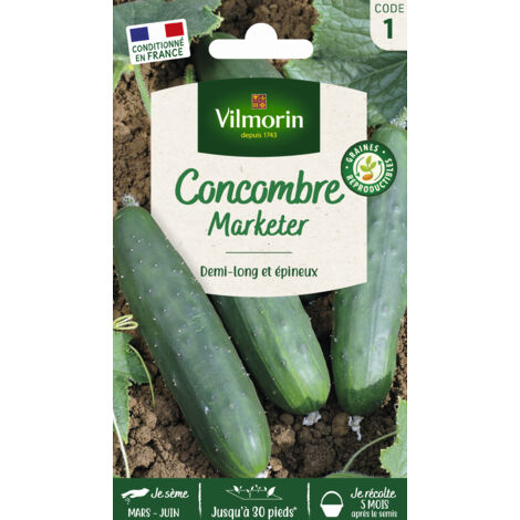 Concombre Marketer – Graines de potager – Variété précoce, productive – Fruits demi-longs 25 cm, peau lisse vert foncé – Vilmorin