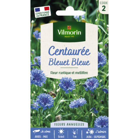 Centaurée Bleuet Bleue Vilmorin (1/3)
