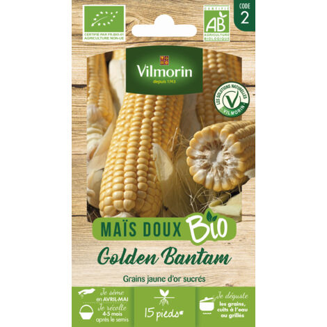 Maïs Golden Bantam - BIO Vilmorin
