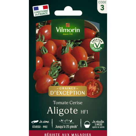 sachet graines Tomate Aligote HF1 vilmorin (1/3)