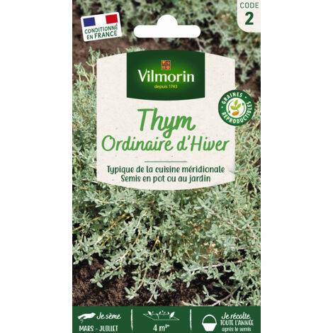 Thym ordinaire Vilmorin (1/2)
