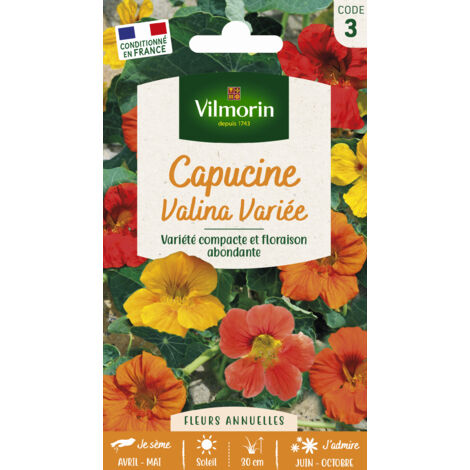 Capucine Valina Variée Vilmorin (1/2)