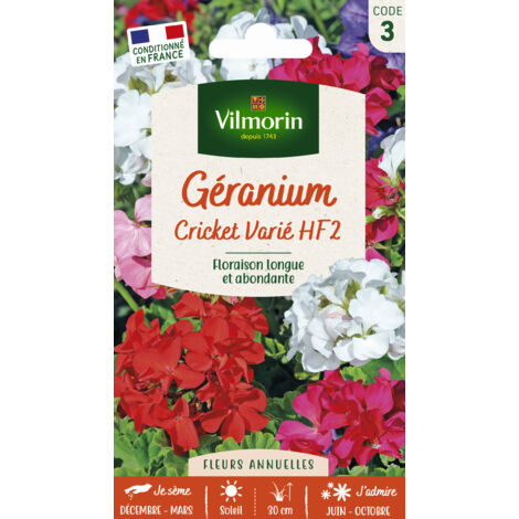 Géranium Cricket varié – Graines de fleurs – Floraison estivale abondante – Semis de mi-décembre à mars – Couleurs variées blanc à rouge – Vilmorin (1/3)