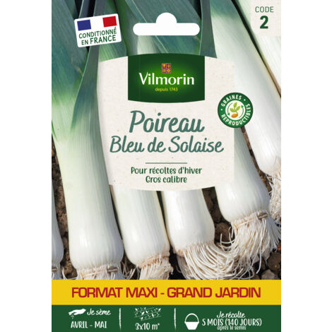 Poireau Bleu de Solaise - Grand Modèle Vilmorin (1/2)