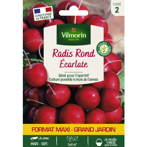 Vilmorin - Radis Rond Ecarlate GM