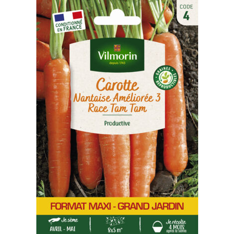 Vilmorin - Carotte nantaise améliorée 3 race Tam Tam Grand Jardin