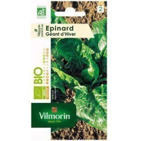 Vilmorin sachet de graines épinard géant d'hiver Bio (1/4)