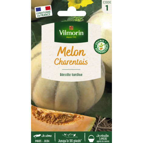 Melon Charentais – Sachet de 3 g de graines – Semis de mai à juin en situation ensoleillée – Récolte d'août à septembre – Vilmorin