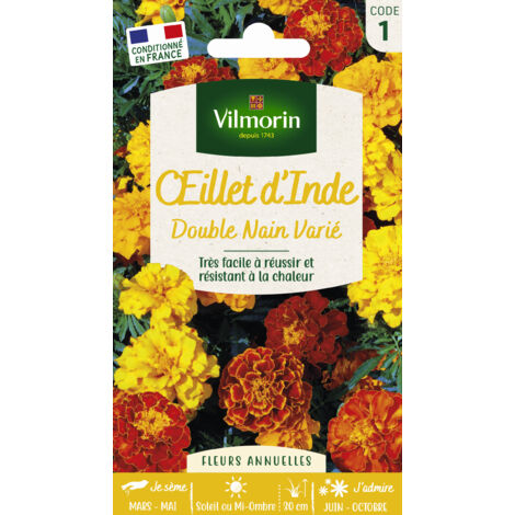 Oeillet d'inde double nain mix Vilmorin