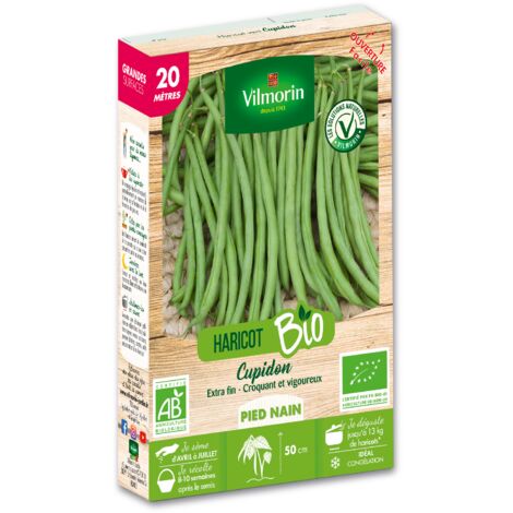 Haricot Nain Vert Cupidon - 20 m - BIO Vilmorin