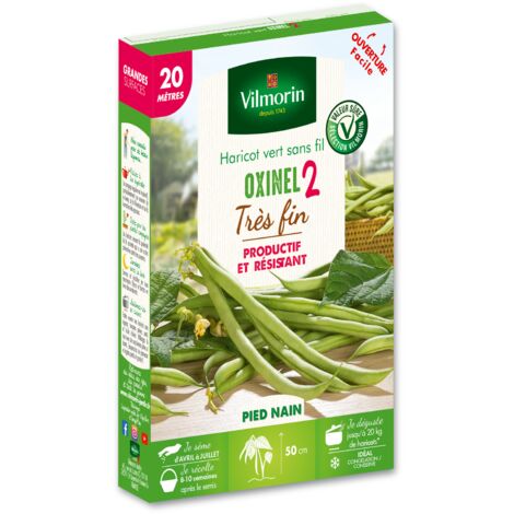 Haricot Nain Vert Oxinel 2 - 20 m Vilmorin (1/3)