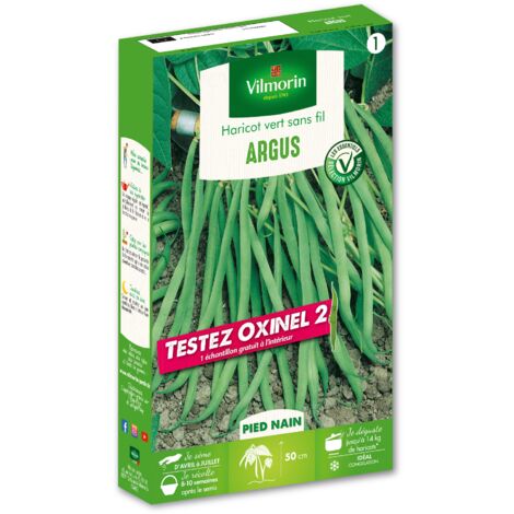 Haricot Nain Vert Argus + échantillon Oxinel 2 Vilmorin (1/3)