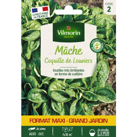 Mâche Coquille de Louviers - Grand Modèle Vilmorin (1/2)