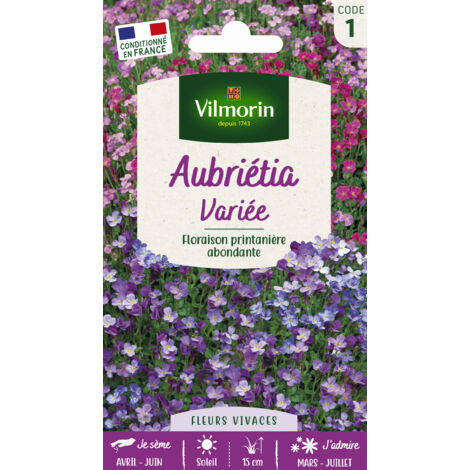 Aubriétia variée – Plante tapissante à floraison précoce – Fleurs bleu clair à pourpre – Semis d'avril à juin en sol riche – Vilmorin
