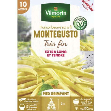 Haricot Grimpant Beurre Monte Gusto - 10 m Vilmorin